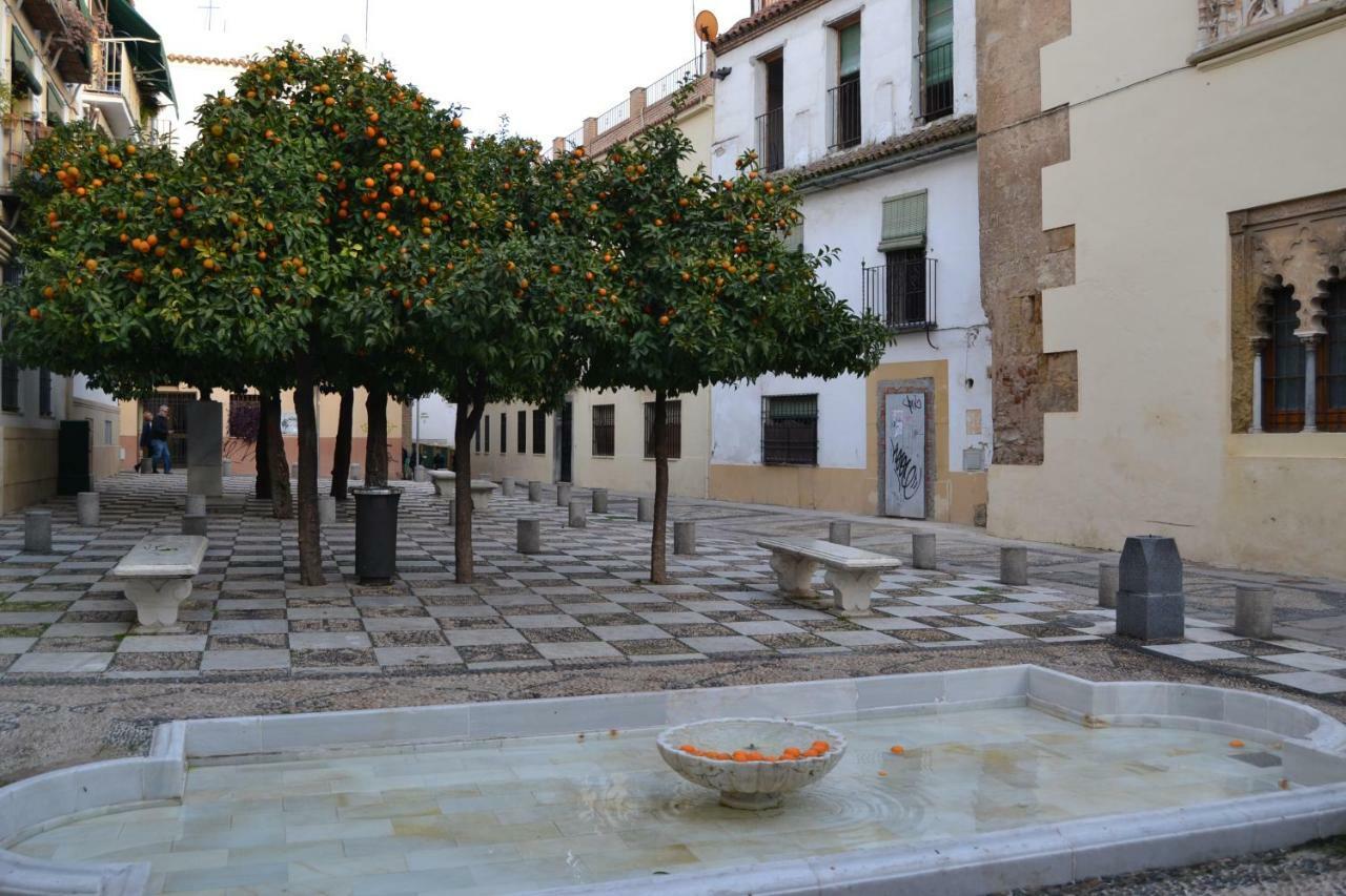 شقة Apartamento Cordoba Mezquita المظهر الخارجي الصورة